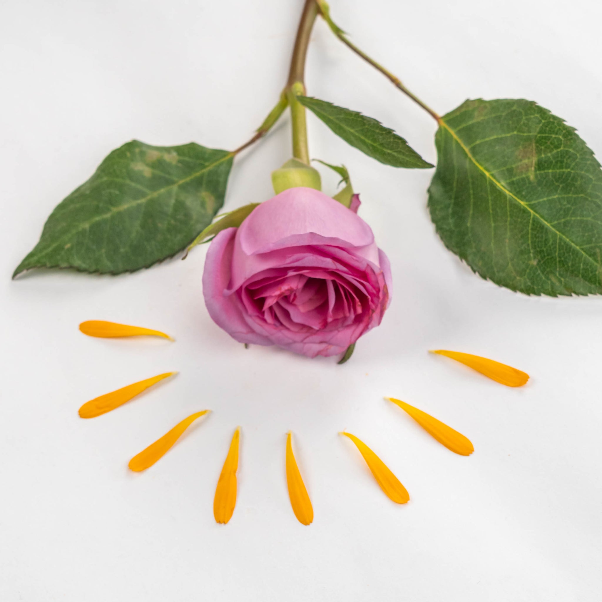 Dúo Protección Solar Antioxidante